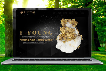 ��Դ�������ﱦʯ